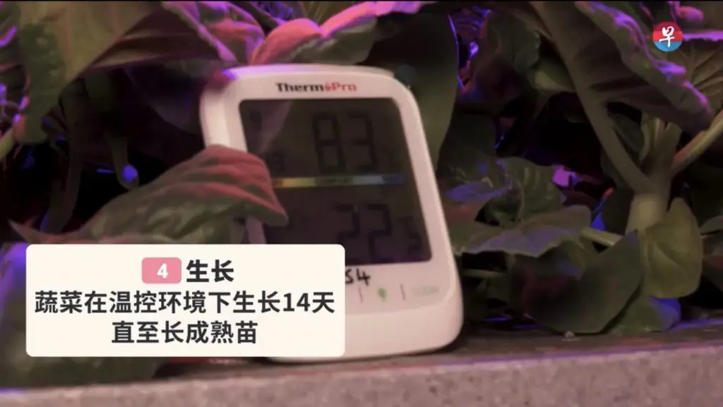 smart indoor farming