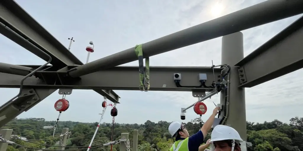 Rainforest Wild Asia Navis Anemometer 02