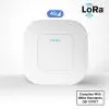UbiBot LoRa 4G Gateway